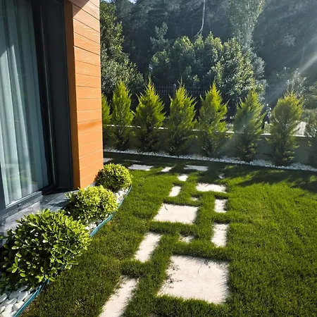 Bitirmis 1 Vila Serefler